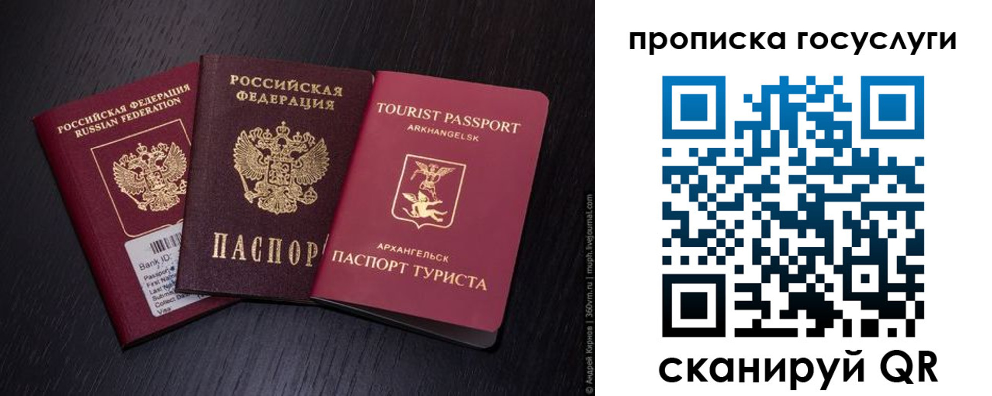 прописка 2025 в Кургане